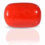 Red coral