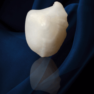 Machhmani Gemstone (Fish Pearl)