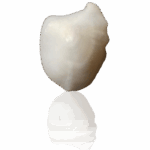 Machhmani