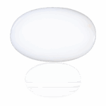white coral