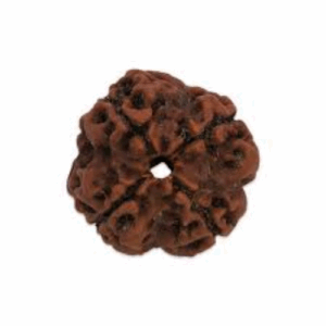Rudraksha